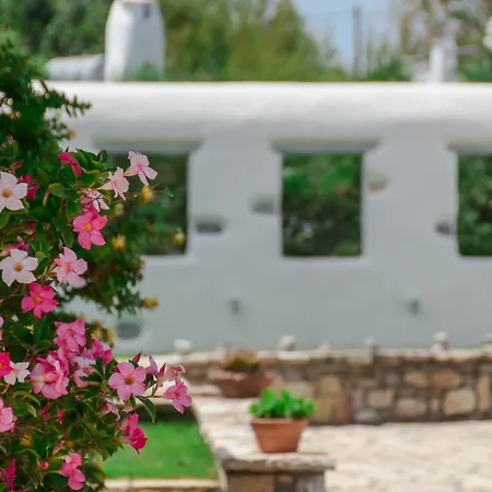 Romantica Naxos Maragkas
